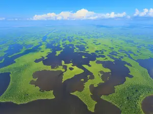 Trải nghiệm nổi bật 3 Hàng Đầu Tại Monroe County