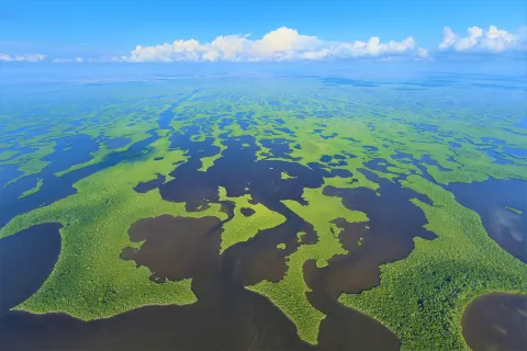 Parco nazionale delle Everglades