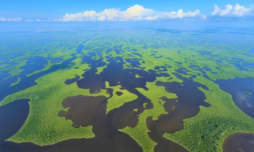 Everglades National Park