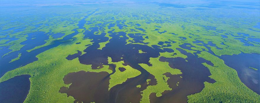 Vườn quốc gia Everglades