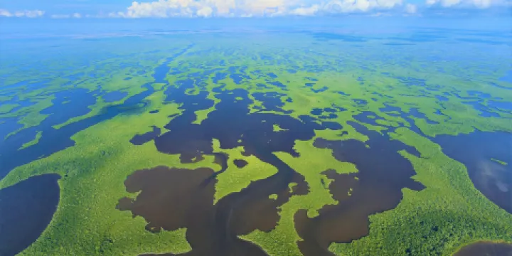 大沼澤地國家公園