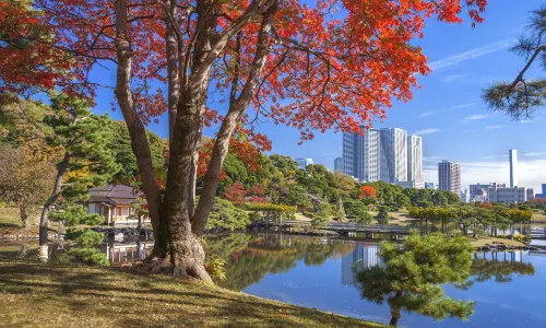 Hamarikyu Gardens