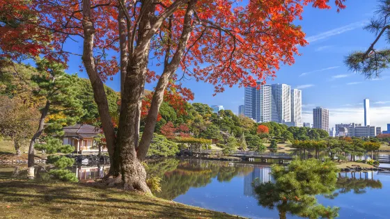 濱離宮恩賜庭園