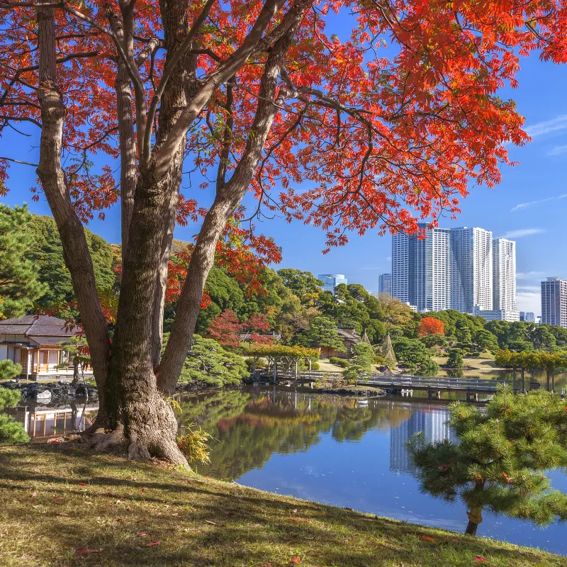 濱離宮恩賜庭園