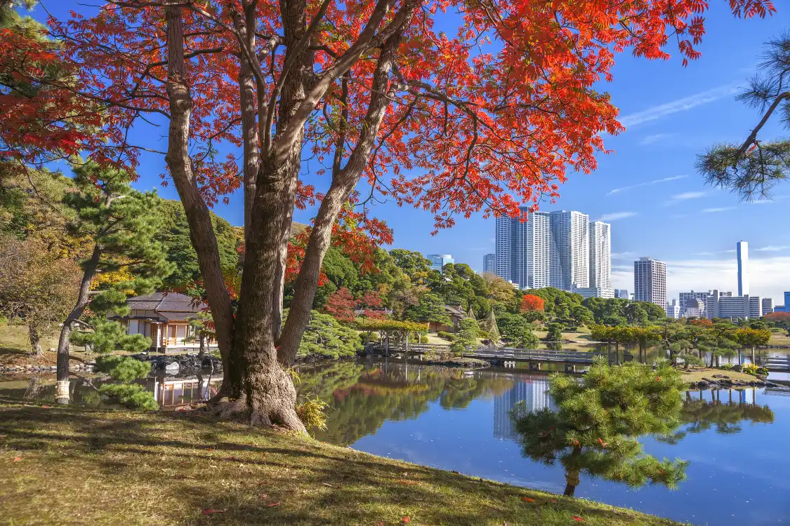하마리큐 은사정원 주변 호텔