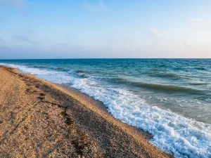 Shell Beach