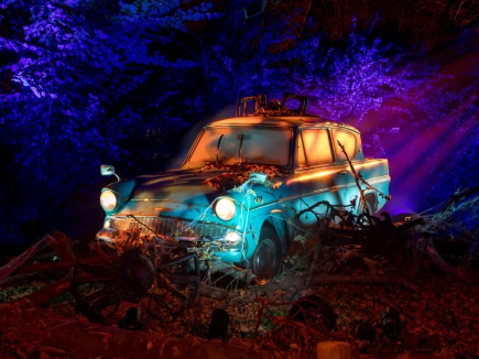 Harry Potter™ A Forbidden Forest Experience