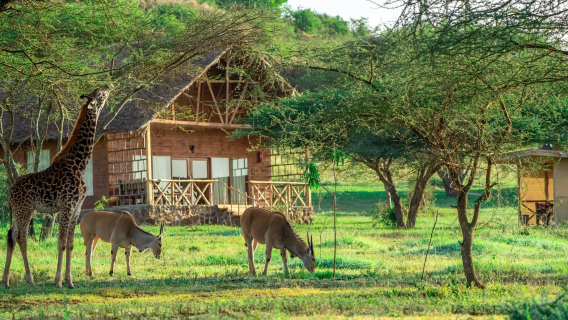 Arusha