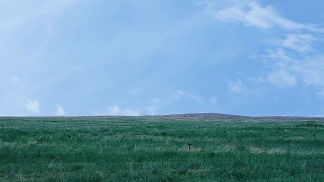 e er duo si da cao yuan