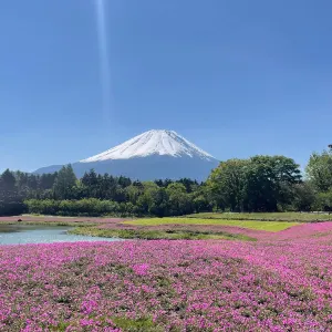富士本栖湖リゾート