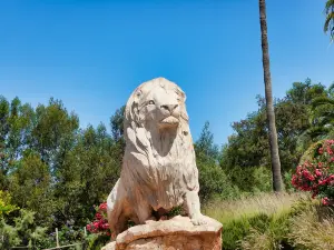 Attrazioni per Famiglie​ a Rabat: le opzioni più popolari