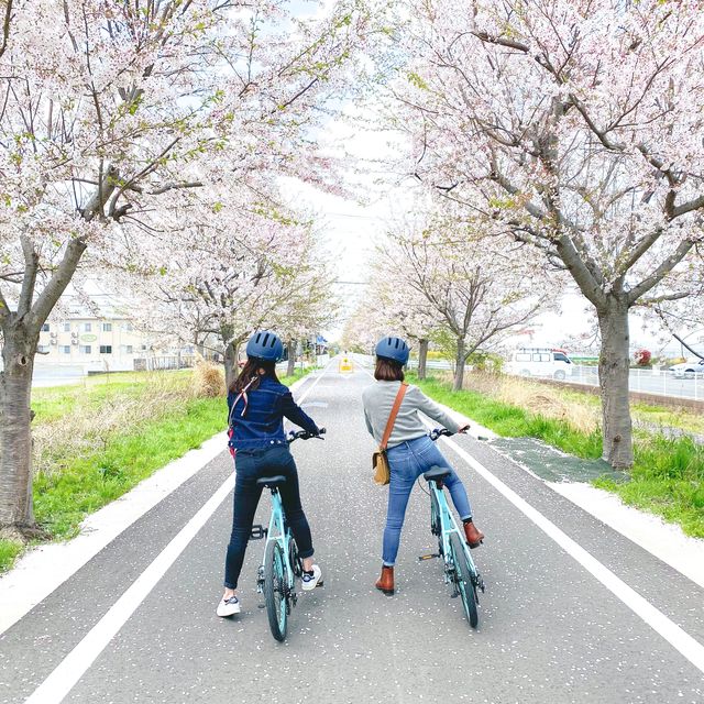 茨城県 サイクリストにおすすめ