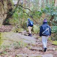 【福岡】宝満山