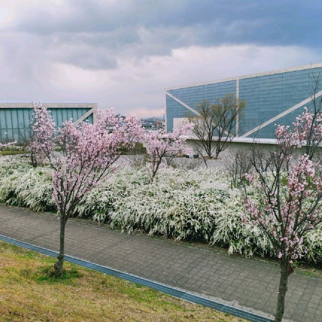 Sayamaeki museum