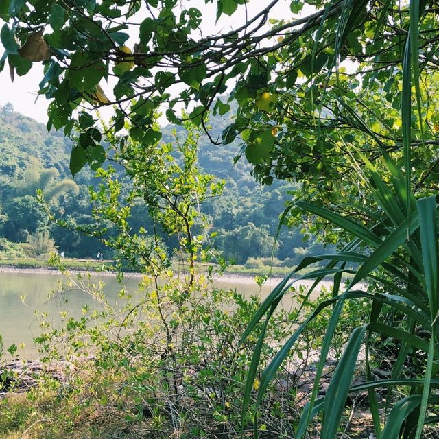 輕鬆行山-鹿頸遊 | 全程平坦路，新手也可以！