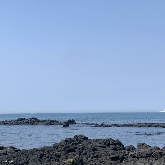 협재식물원, 제주