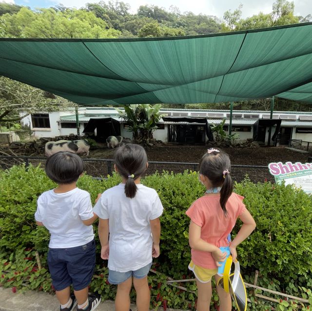 Kadoorie Farm