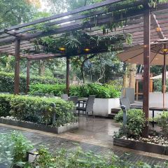 The Mango Garden User Photo
