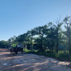 张北坝上草原聚汗轩农庄 User Photo
