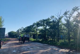 张北坝上草原聚汗轩农庄 여행 사진