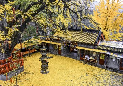 Congbai Nunnery