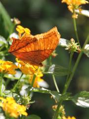 Sulphur Creek Nature Center