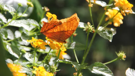 Sulphur Creek Nature Center