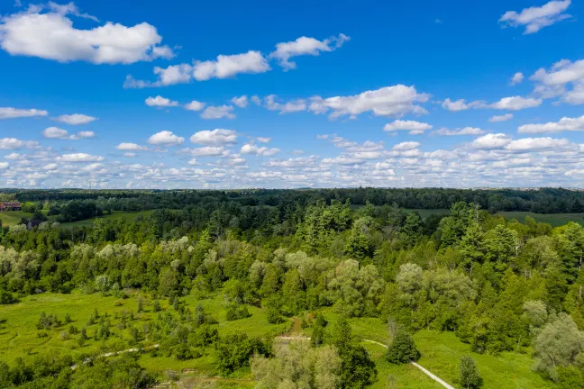 Отзывы об отеле Changbai Mountain Pureland hot spring Resort Hotel