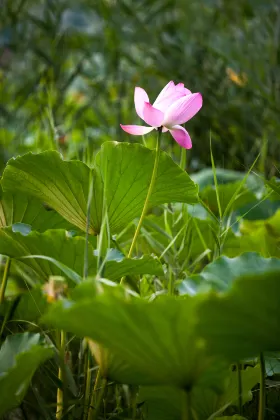 Отзывы об отеле Luban Hotel