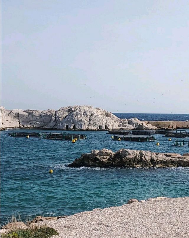 伊夫島