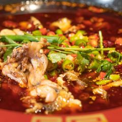 Sichuan Gourmet Brookline User Photo