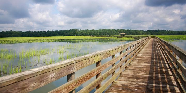 Wuli Lake Ecological Wetland Park