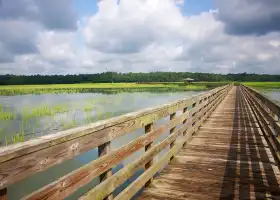 Wuli Lake Ecological Wetland Park