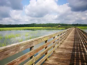 Wuli Lake Ecological Wetland Park