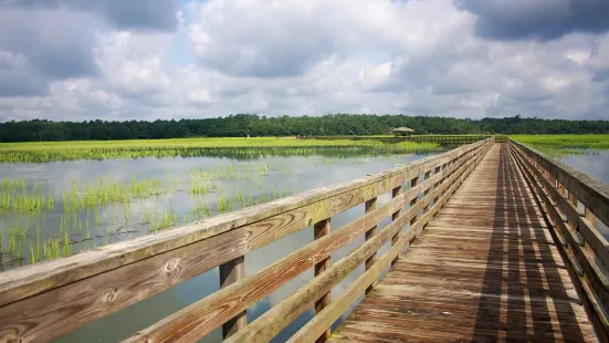 Wuli Lake Ecological Wetland Park