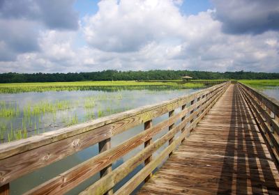 Wuli Lake Ecological Wetland Park