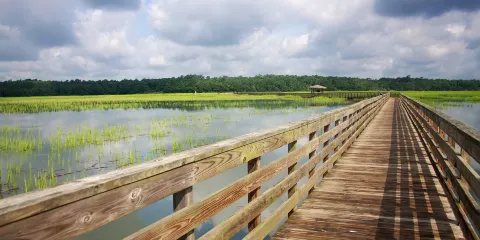 五里湖生態濕地公園