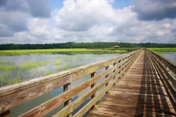 Wuli Lake Ecological Wetland Park