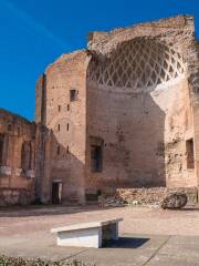 Temple of Venus and Roma