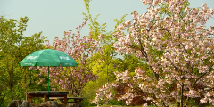 花開海上生態園