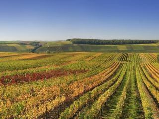 Flights to Bordeaux from London