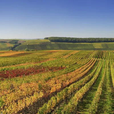 Các khách sạn ở Bordeaux