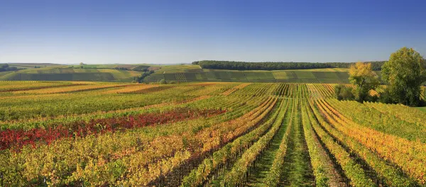 Vé máy bay Bordeaux Hà Nội