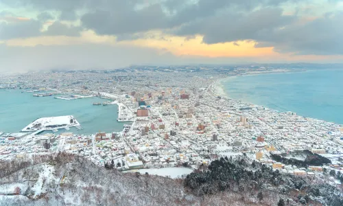 Mt. Hakodate Observatory