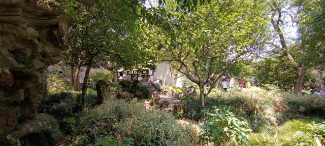 Lingering Garden