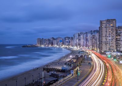 Alexandria
