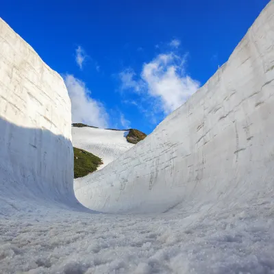 Авиабилеты Тояма Токио