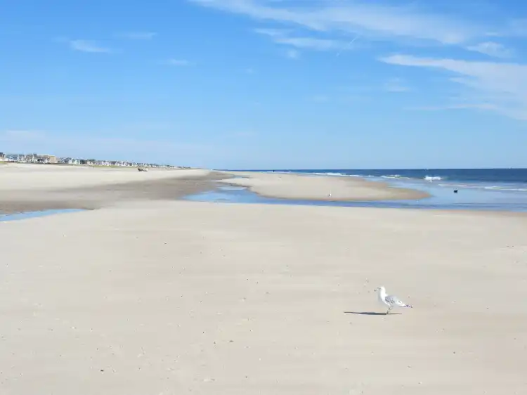فنادق في Westhampton Beach