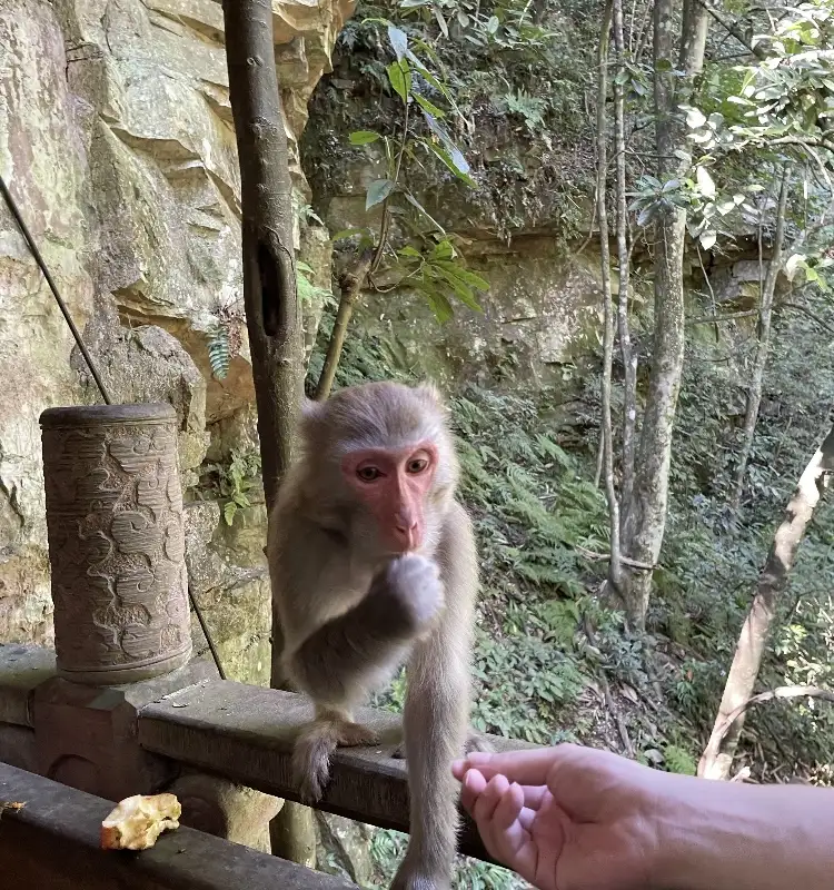 Pro Tips for Visiting Tianmen Mountain