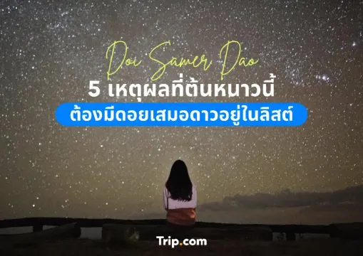 5 เหตุผลที่ต้นหนาวนี้ต้องมีดอยเสมอดาวอยู่ในลิสต์